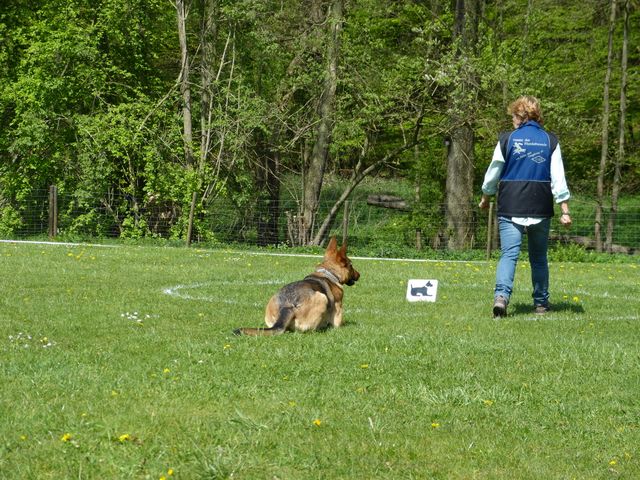 2017-obi-fruehjahrspruefung