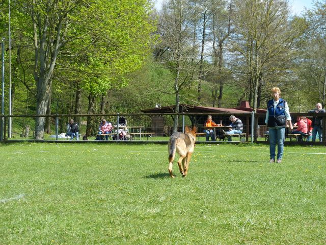 2017-obi-fruehjahrspruefung