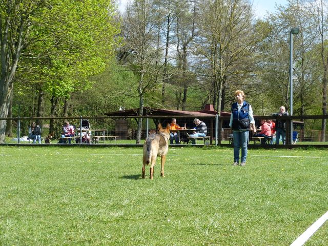 2017-obi-fruehjahrspruefung