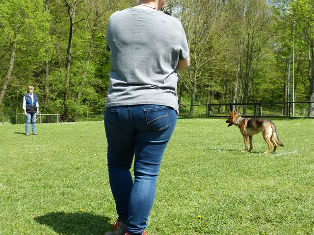 2017-obi-fruehjahrspruefung