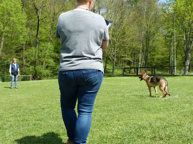 2017-obi-fruehjahrspruefung