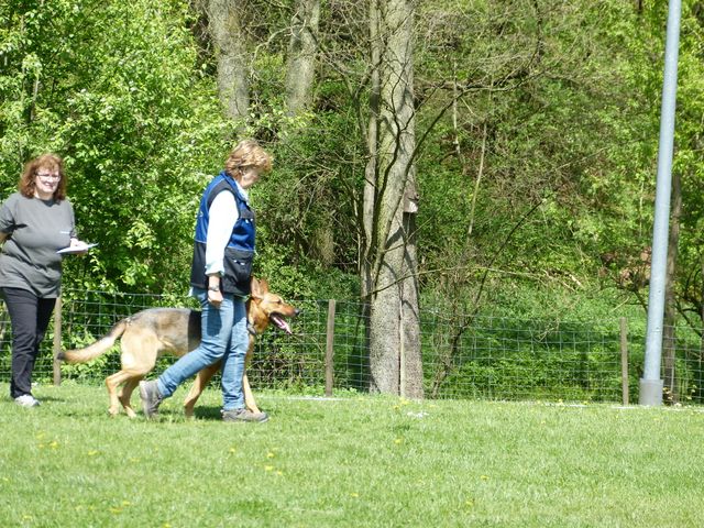 2017-obi-fruehjahrspruefung