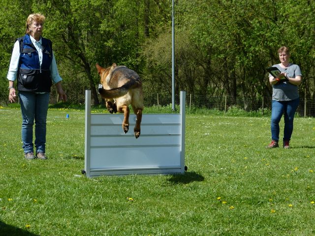 2017-obi-fruehjahrspruefung