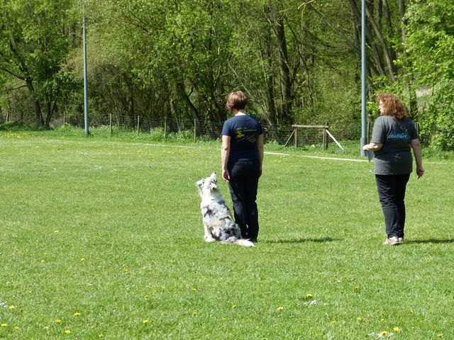 2017-obi-fruehjahrspruefung