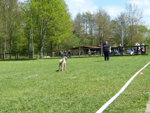 2017-obi-fruehjahrspruefung