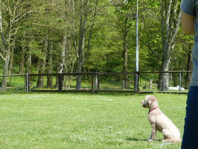 2017-obi-fruehjahrspruefung