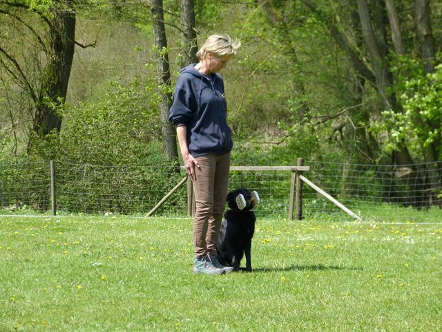 2017-obi-fruehjahrspruefung