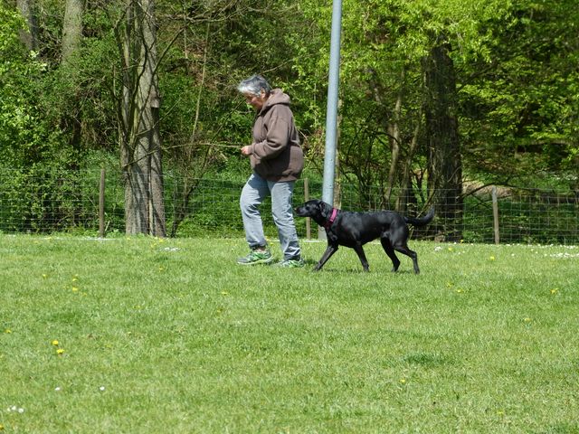 2017-obi-fruehjahrspruefung