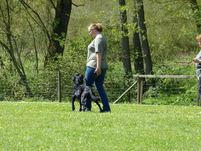 2017-obi-fruehjahrspruefung