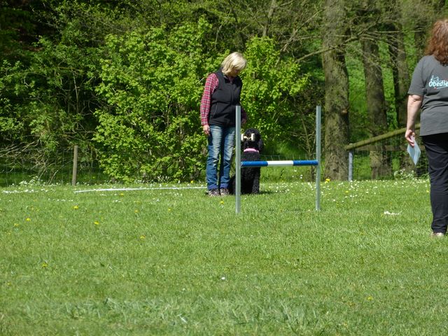 2017-obi-fruehjahrspruefung