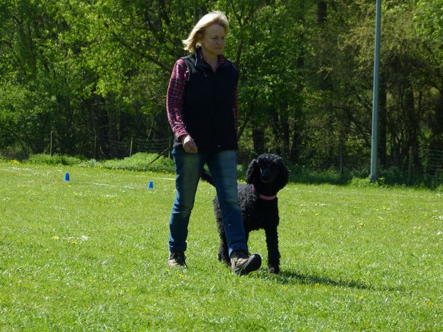 2017-obi-fruehjahrspruefung