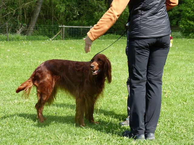 2017-obi-seminar