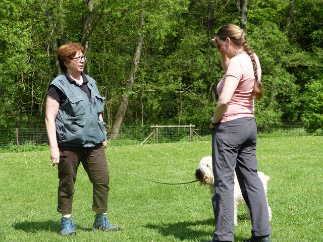 2017-obi-seminar