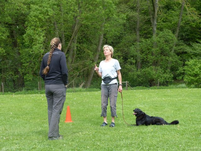 2017-obi-seminar