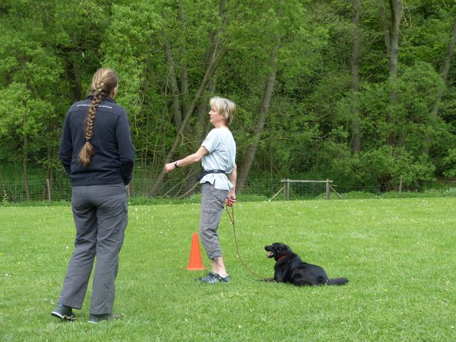 2017-obi-seminar