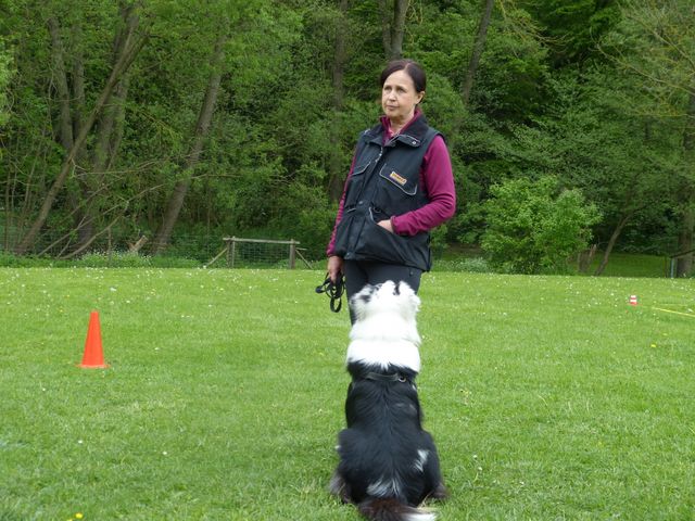 2017-obi-seminar