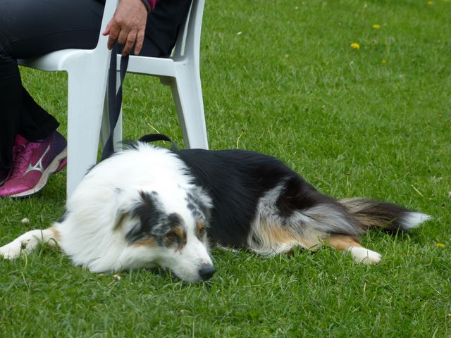 2017-obi-seminar