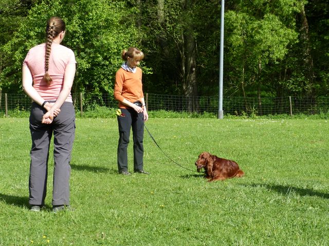 2017-obi-seminar