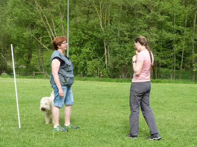 2017-obi-seminar