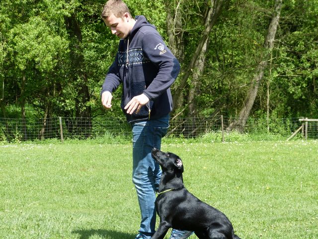 2017-obi-seminar