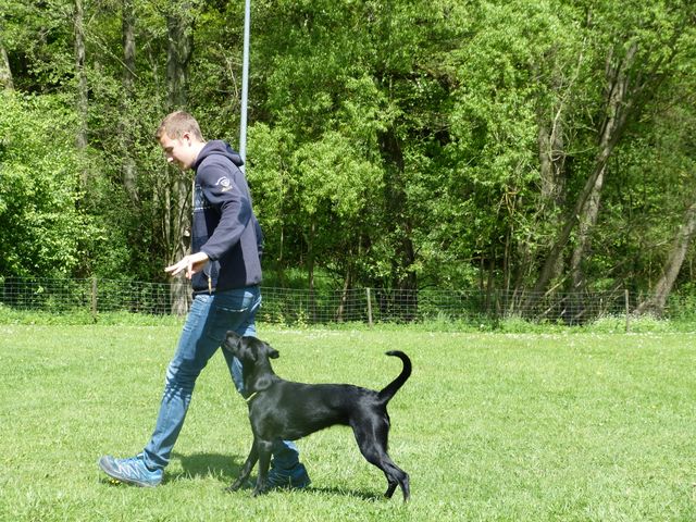 2017-obi-seminar