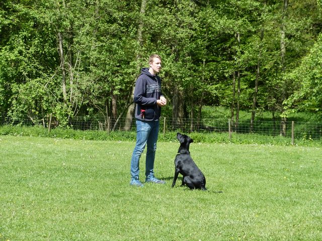 2017-obi-seminar