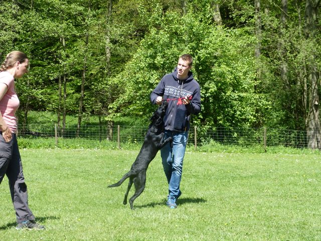 2017-obi-seminar