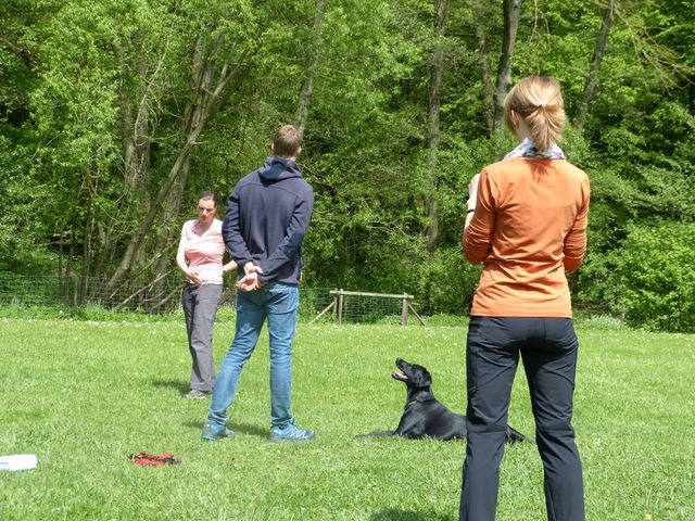 2017-obi-seminar