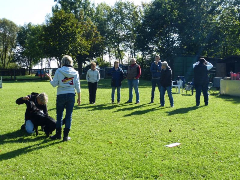 2017-Obiseminar-wiedermann