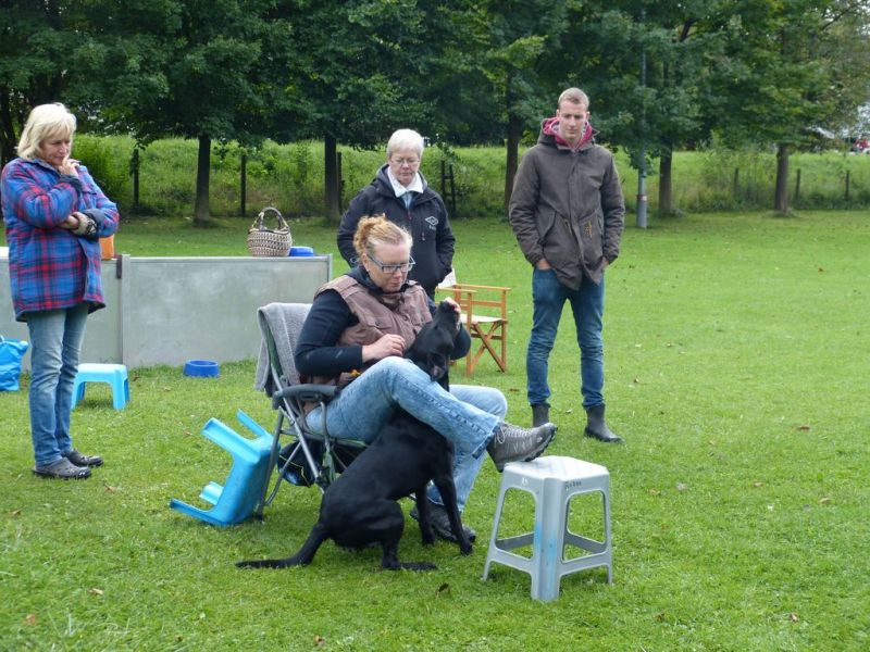 2017-Obiseminar-wiedermann