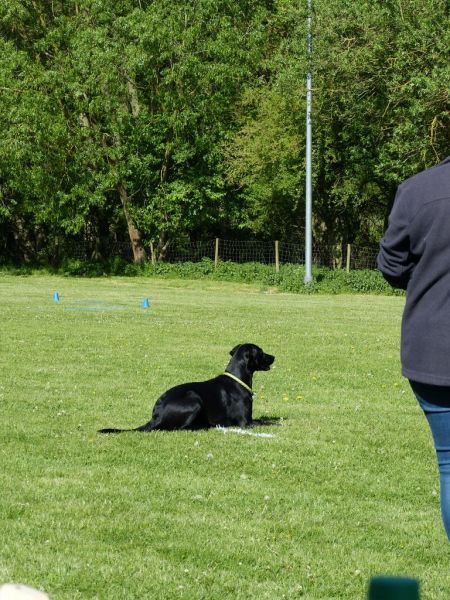 Obi-Pruefung 05/2018