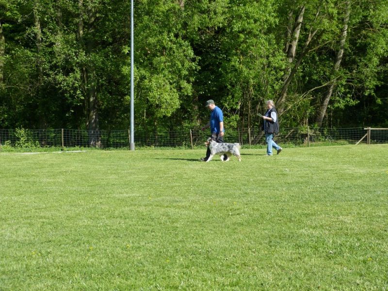 Obi-Pruefung 05/2018