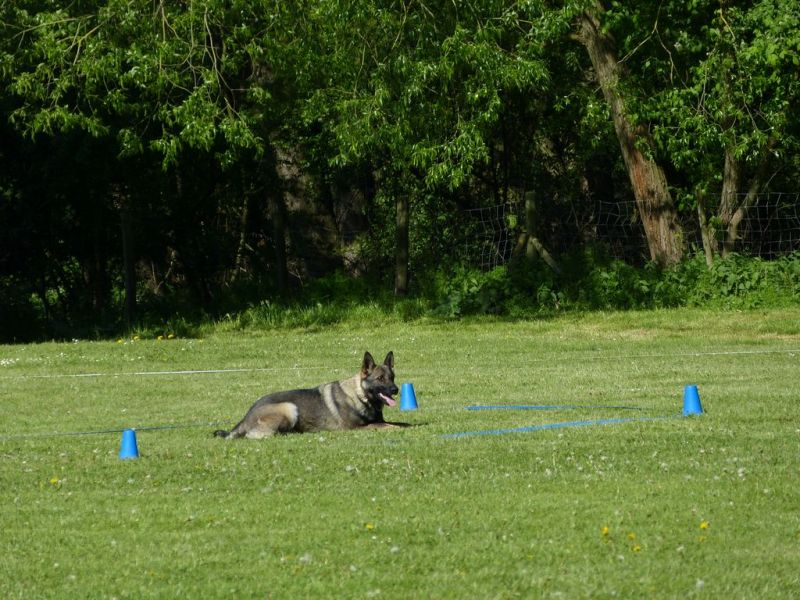 Obi-Pruefung 05/2018
