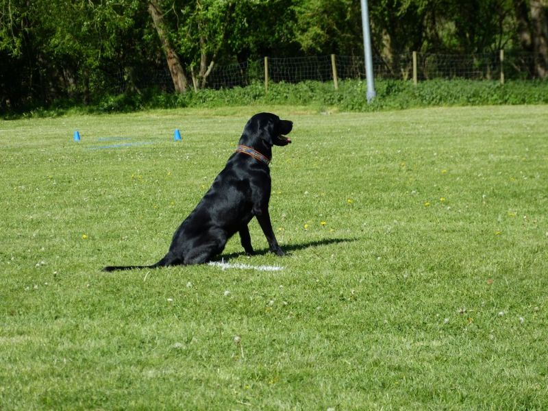 Obi-Pruefung 05/2018