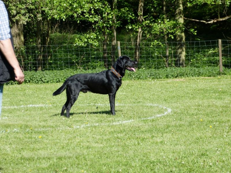 Obi-Pruefung 05/2018