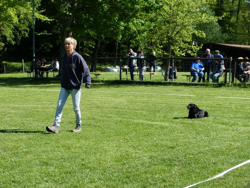 Obi-Pruefung 05/2018
