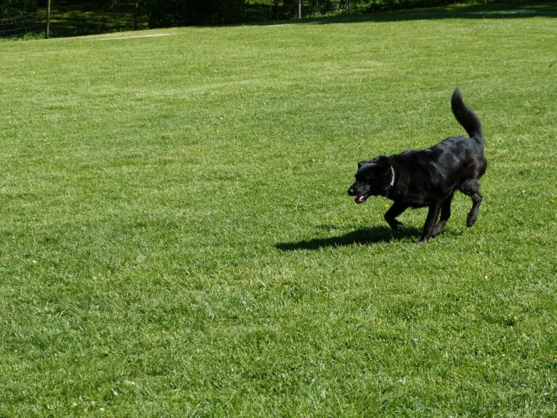 Obi-Pruefung 05/2018