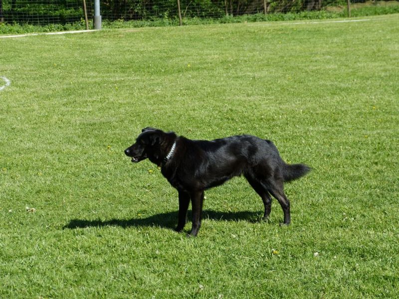 Obi-Pruefung 05/2018