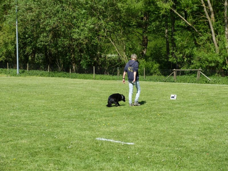 Obi-Pruefung 05/2018
