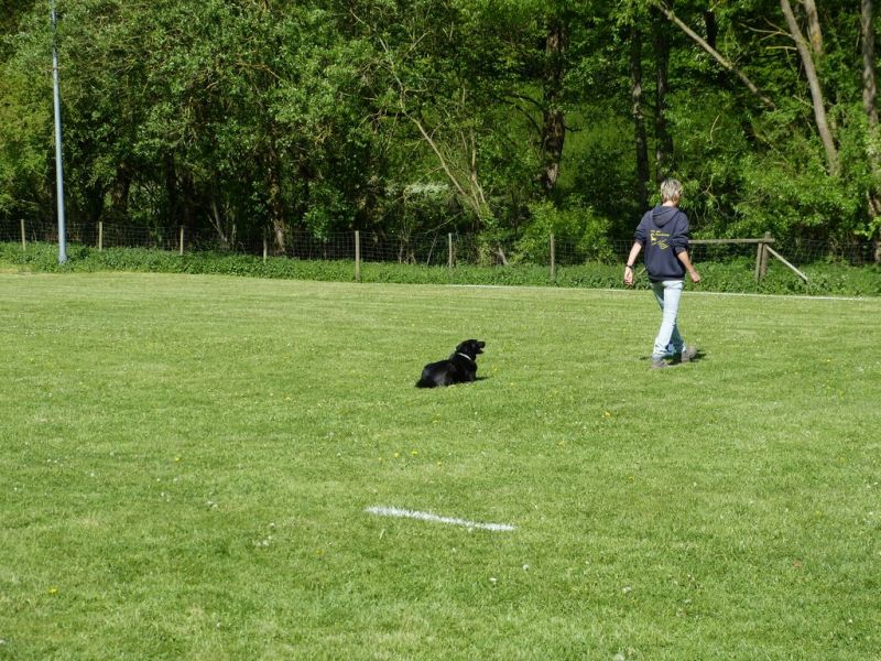 Obi-Pruefung 05/2018