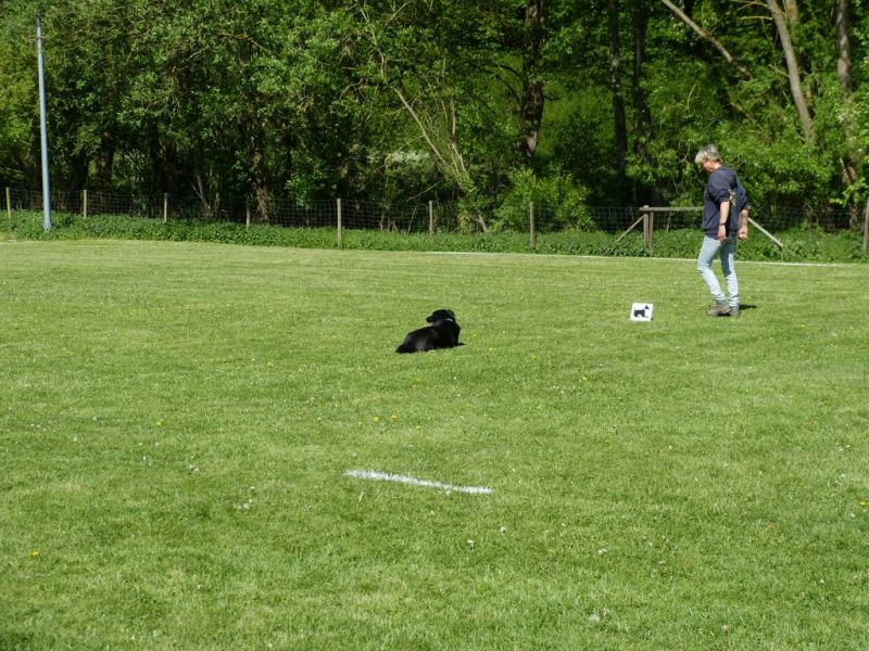 Obi-Pruefung 05/2018