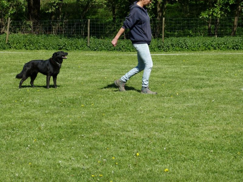 Obi-Pruefung 05/2018