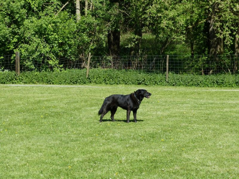 Obi-Pruefung 05/2018