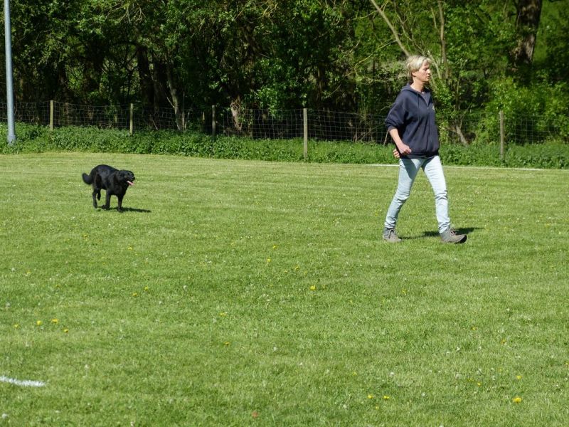 Obi-Pruefung 05/2018