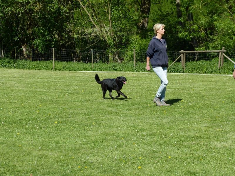 Obi-Pruefung 05/2018
