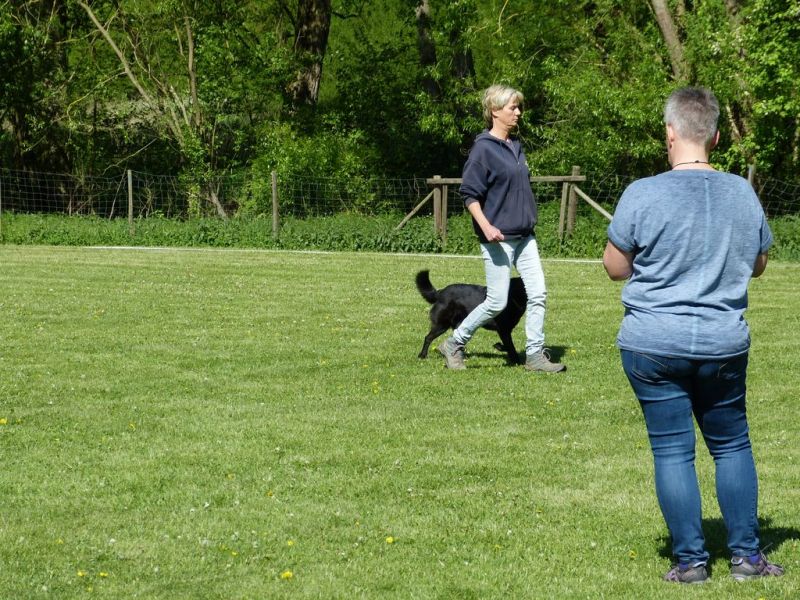 Obi-Pruefung 05/2018