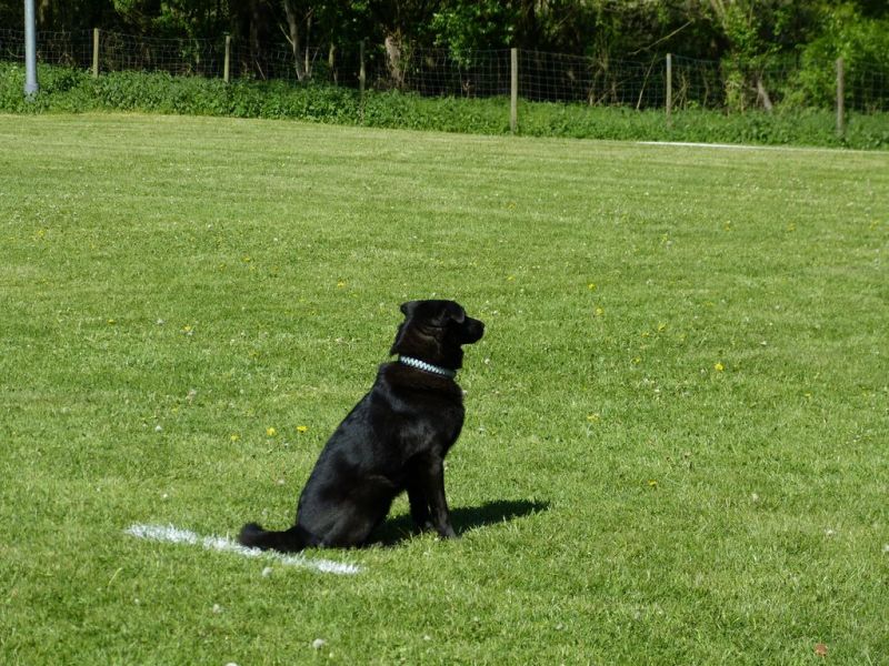 Obi-Pruefung 05/2018