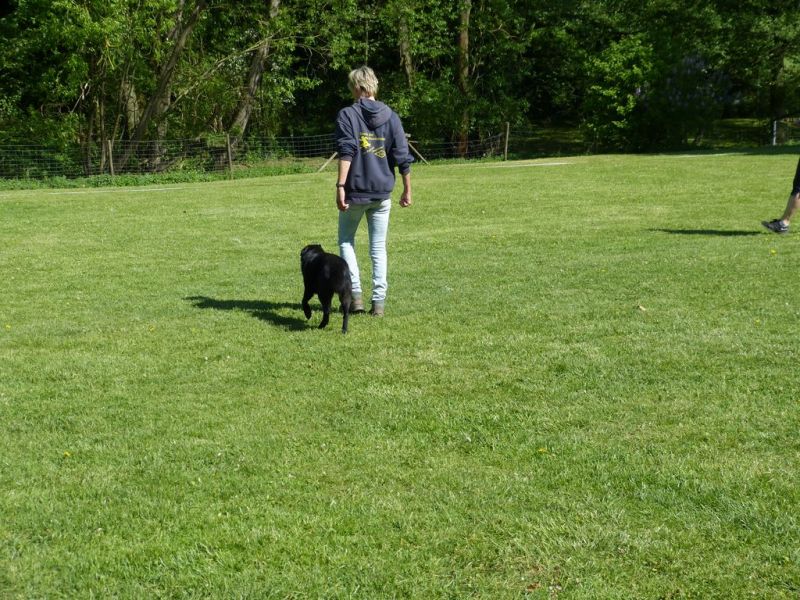 Obi-Pruefung 05/2018