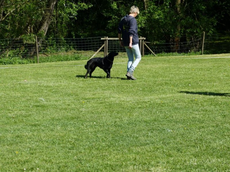 Obi-Pruefung 05/2018