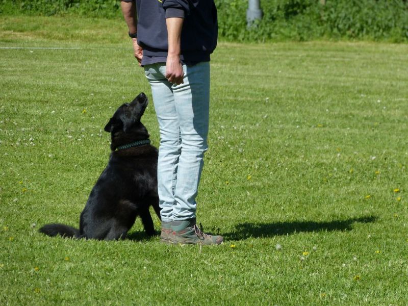 Obi-Pruefung 05/2018